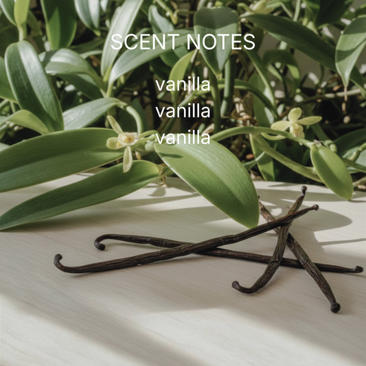 Vanilla beans on a white surface with green leaves and flowers in the background, labeled 'SCENT NOTES vanilla vanilla vanilla'.